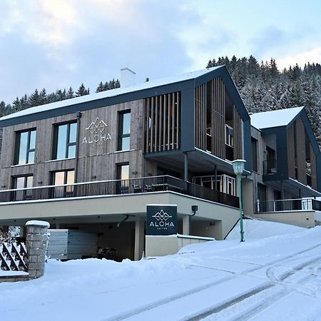 Aloha Suites - Alpin Lodge Haus Haus im Ennstal Exteriér fotografie