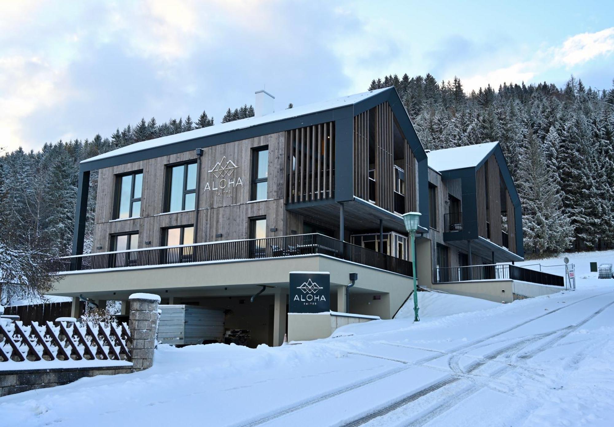 Aloha Suites - Alpin Lodge Haus Haus im Ennstal Exteriér fotografie