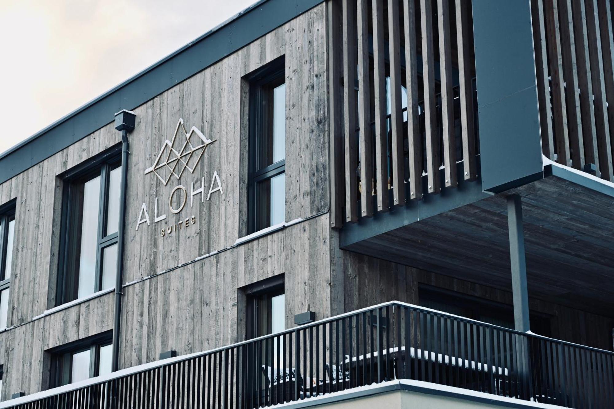 Aloha Suites - Alpin Lodge Haus Haus im Ennstal Exteriér fotografie