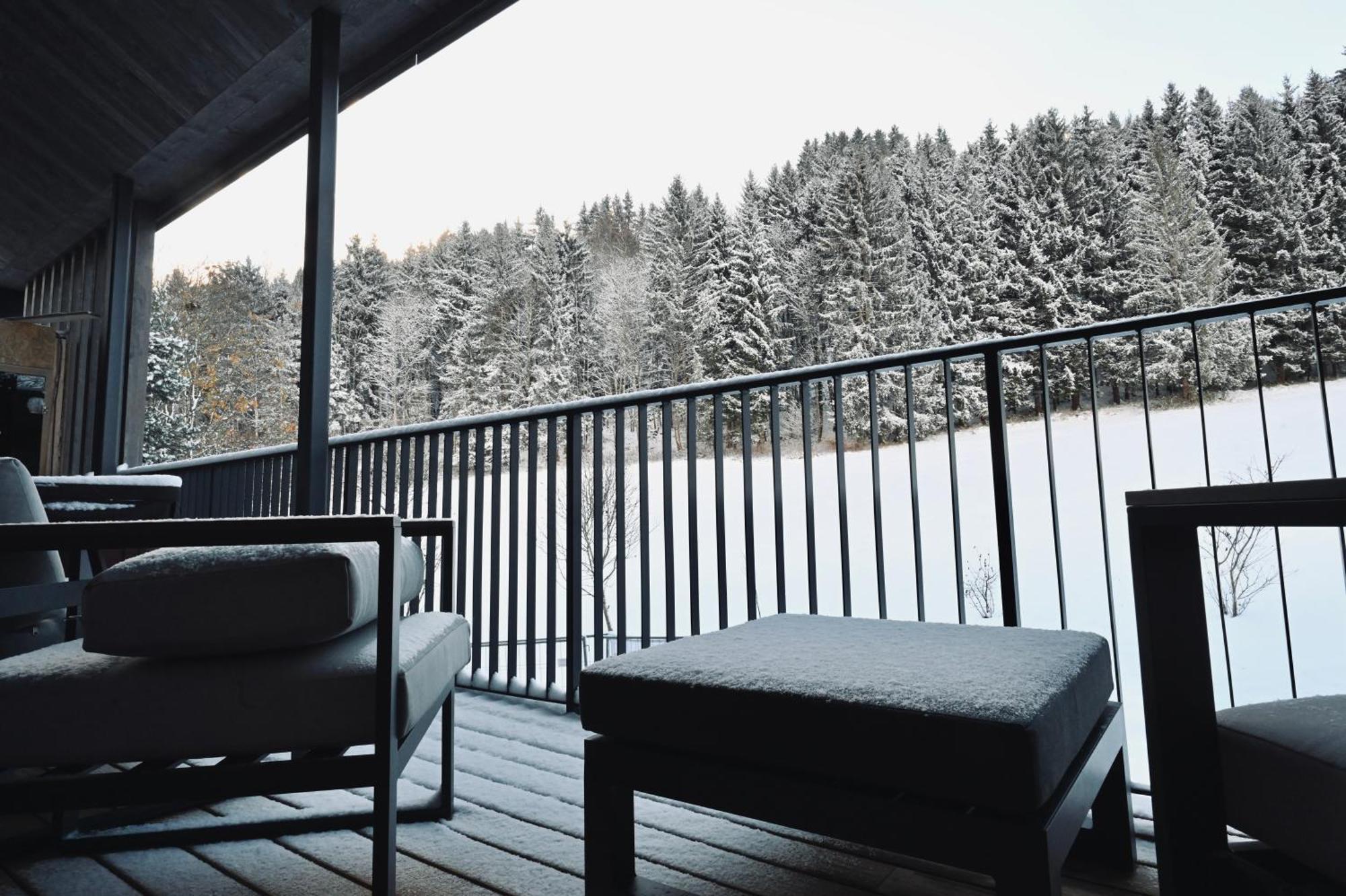 Aloha Suites - Alpin Lodge Haus Haus im Ennstal Exteriér fotografie
