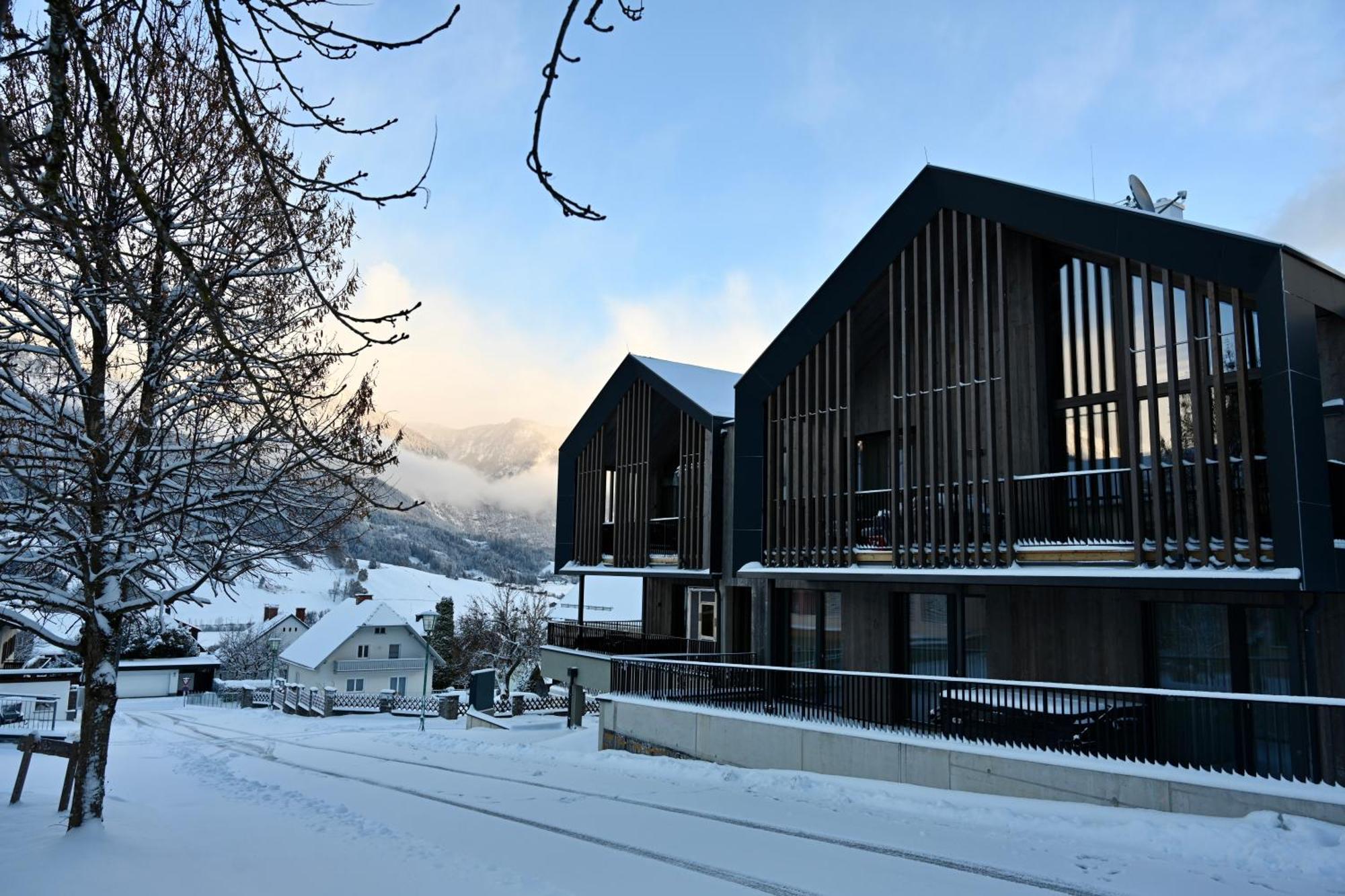 Aloha Suites - Alpin Lodge Haus Haus im Ennstal Exteriér fotografie